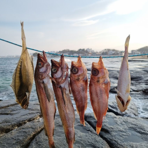 반건조생선으로 만드는 정통 요리, 속초사이버장터에서 구매