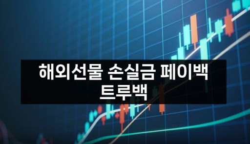 해외선물미니업체 트루백의 안전한 금융 투자 전략과 전문가 지원