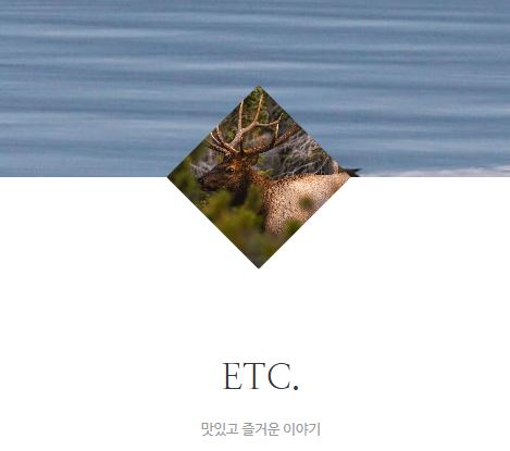 태상의 미니샵 바로가기: 라이프스타일 정보 수집의 효율성